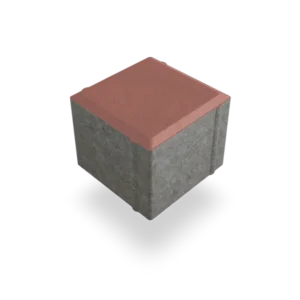 morales 10x10