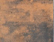 Fusión leonis